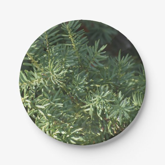 Pijnbos Papieren Bordje (Voorkant)