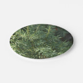 Pijnbos Papieren Bordje (Gekanteld)