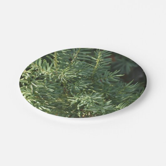 Pijnbos Papieren Bordje (Gekanteld)