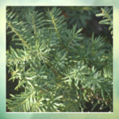 Pijnbos Raamsticker (Vel 3)