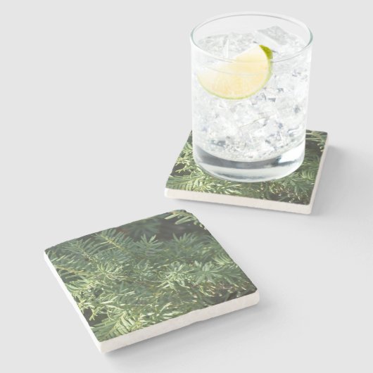 Pijnbos Stenen Onderzetter (Zijkant)