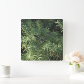 Pijnbos Vierkante Klok (Huis)