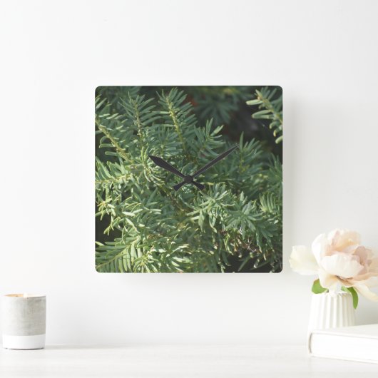 Pijnbos Vierkante Klok (Huis)