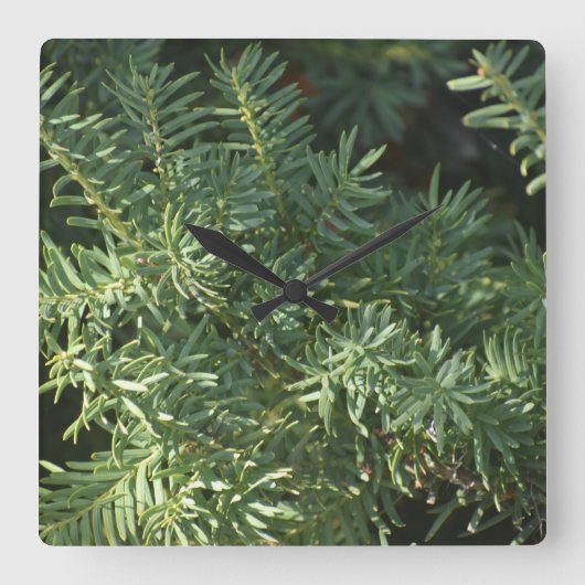 Pijnbos Vierkante Klok (Voorkant)