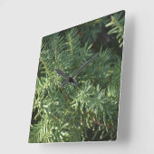 Pijnbos Vierkante Klok (Hoek)