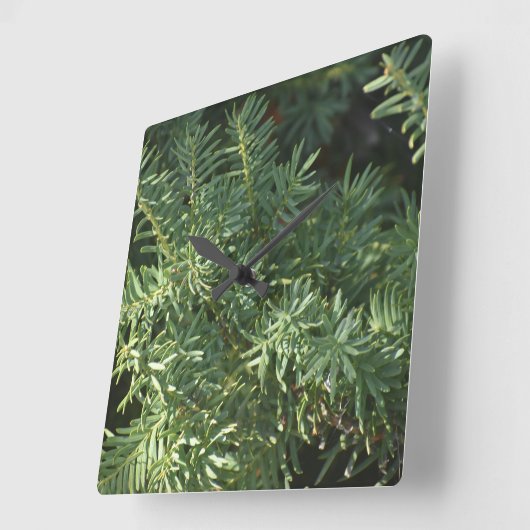 Pijnbos Vierkante Klok (Hoek)