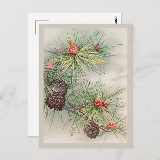 Pijnen en Bloem Kerstmis Briefkaart (Voorkant / Achterkant)