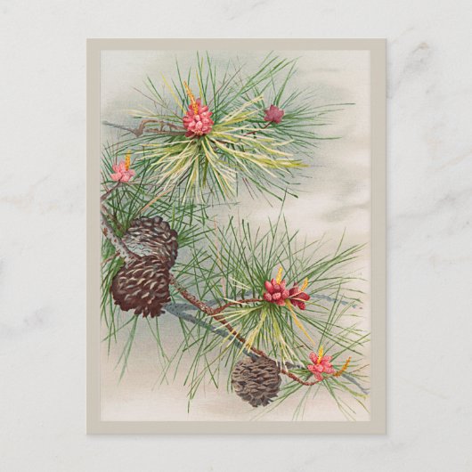 Pijnen en Bloem Kerstmis Briefkaart (Voorkant)