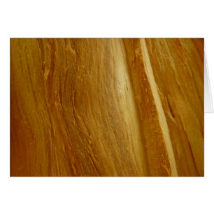 Pijnhout II Faux Wooden Texture