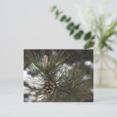 Pijnkegel Briefkaart (Staand voorkant)