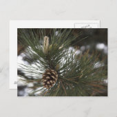 Pijnkegel Briefkaart (Voorkant / Achterkant)