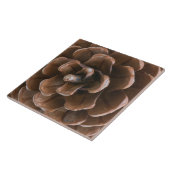 Pijnkegel Tegeltje (Zijkant)