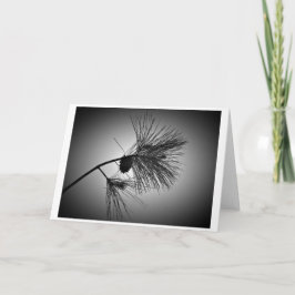 Pijnkloon op filiaal - noir, kaart