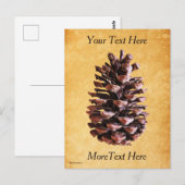 Pijnkloon op papier briefkaart (Voorkant / Achterkant)