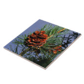 Pijnkloon op pine tak tegeltje (Zijkant)