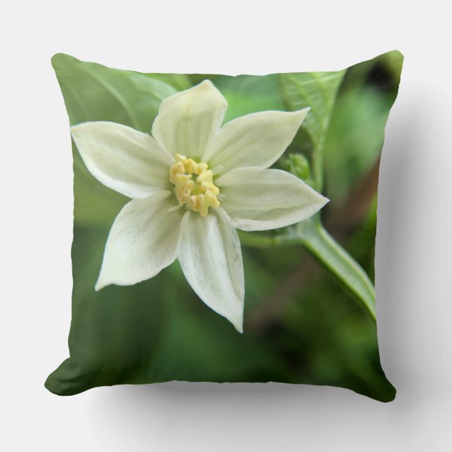 Pijnlijke bloem kussen (Voorkant)