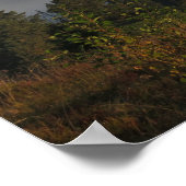 Pijnlijke herfst poster (Hoek)