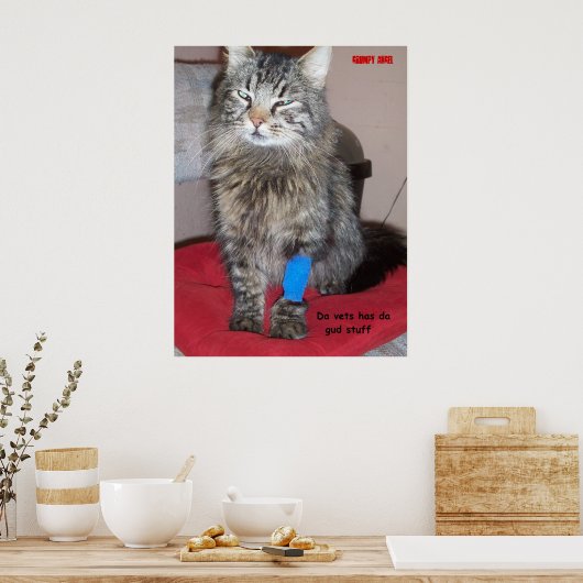 Pijnmaten voor kat poster (Keuken)