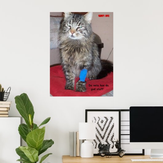 Pijnmaten voor kat poster (Thuiskantoor)