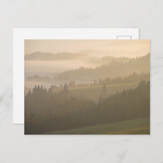 Pijnmist Briefkaart (Voorkant / Achterkant)