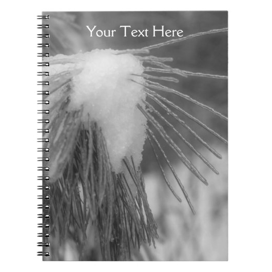 Pijnnaalden in de Notitieboek van sneeuw en ijsvor (Voorkant)