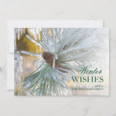 Pijnnaalden in ijs (Voorkant)