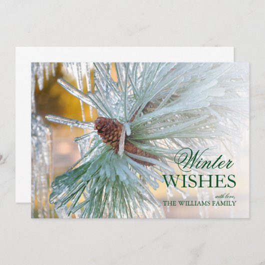 Pijnnaalden in ijs (Voorkant / Achterkant)