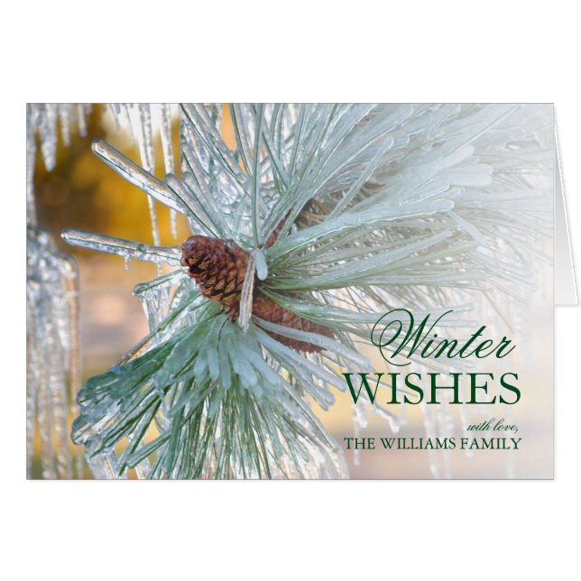 Pijnnaalden in ijs (Voorkant Horizontaal)