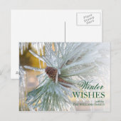 Pijnnaalden in ijs briefkaart (Voorkant / Achterkant)