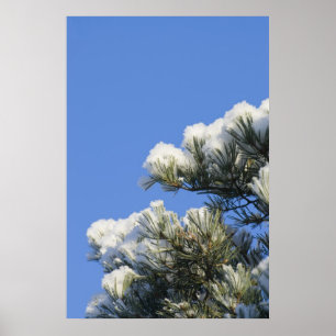 Pijnnaalden Poster