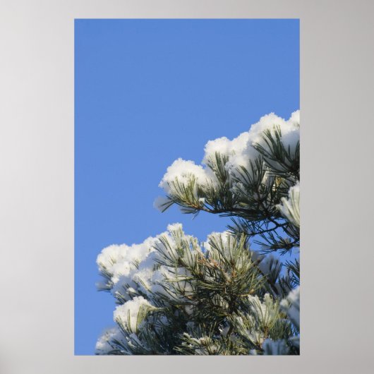 Pijnnaalden Poster (Voorkant)