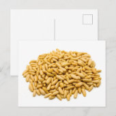 Pijnnoten Briefkaart (Voorkant / Achterkant)