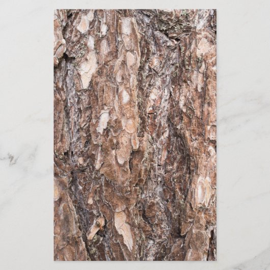 Pijnschors Briefpapier (Voorkant)