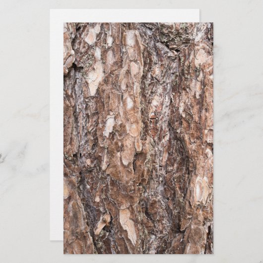 Pijnschors Briefpapier (Voorkant / Achterkant)