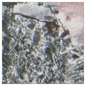 Pijnschors Stof (Close Up)