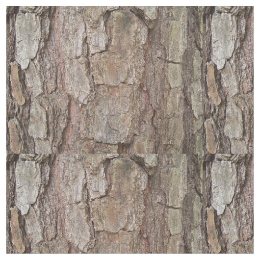 Pijnschors Stof (Close Up)