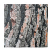 Pijnschors Tegeltje (Voorkant)