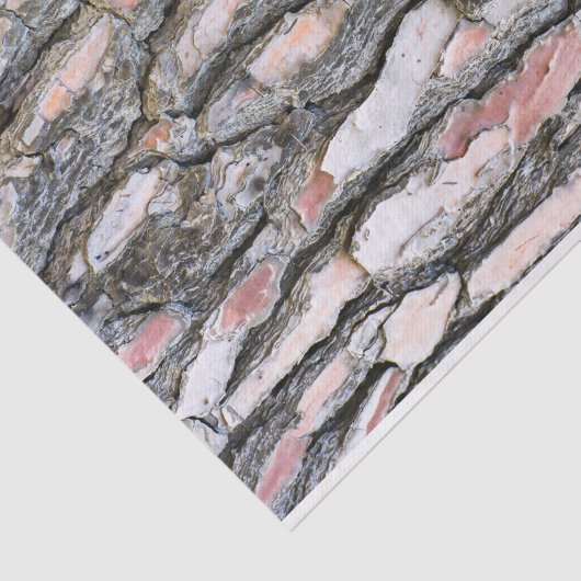 Pijnschors Tissuepapier (Detail)