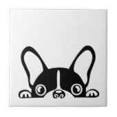 Pijnse hond tegeltje (Voorkant)