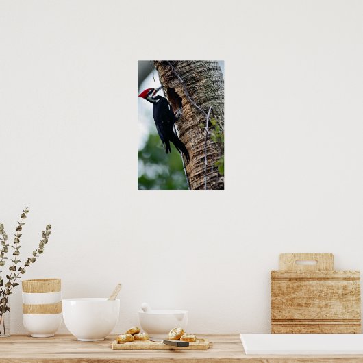 Pijnspecht Poster (Keuken)