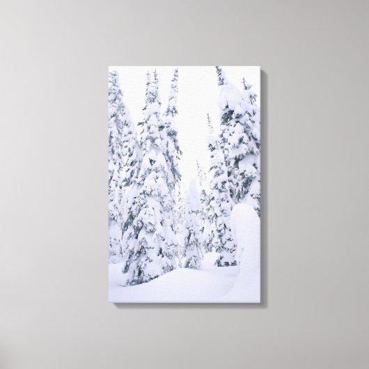 Pijnstokken met sneeuwbedekking canvas afdruk (Voorkant)