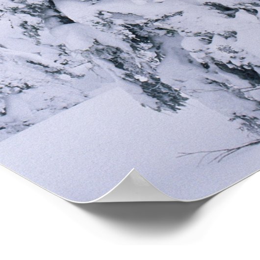 Pijnstokken met sneeuwbedekking poster (Hoek)