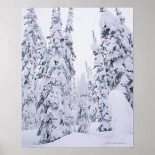 Pijnstokken met sneeuwbedekking poster