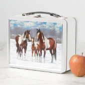 Pijnstokpaardjes in wintersneeuw (In situ)