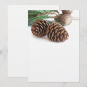 Pijntakjes en -kegels (Voorkant / Achterkant)