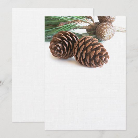 Pijntakjes en -kegels (Voorkant / Achterkant)