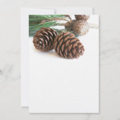 Pijntakjes en -kegels (Voorkant)