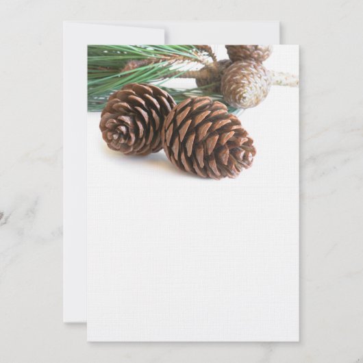 Pijntakjes en -kegels (Voorkant)