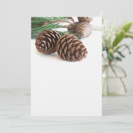 Pijntakjes en -kegels (Staand voorkant)