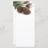 Pijntakjes en -kegels (Voorkant / Achterkant)